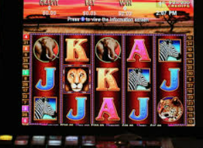 女王赏金赚钱app入口2024最新版